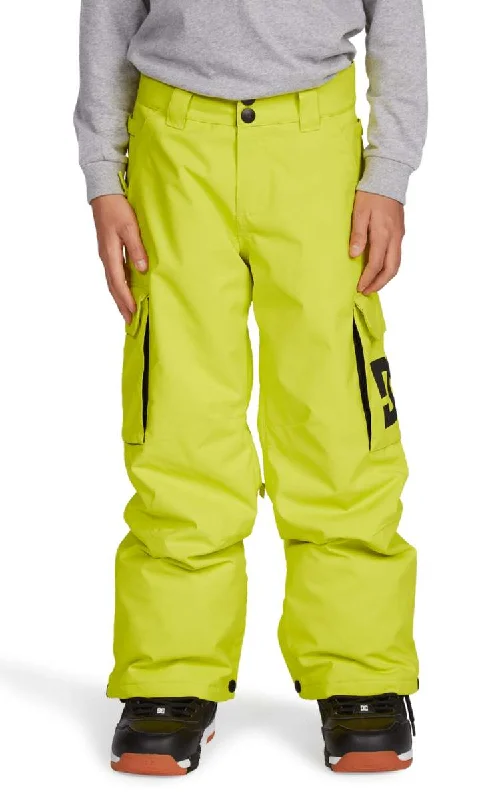 DC Youth Banshee Insulated Pants 2022 Elegant Silk Pants